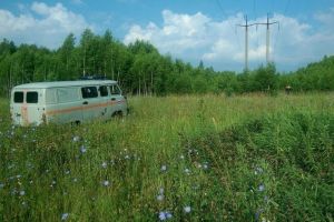 Жительница Пензенской области, собирая грибы, заблудилась в лесу