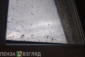 Спасатели помогли врачам попасть в квартиру пензячки