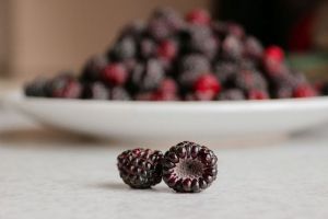 Полезная ежевика: где покупать и как выбрать?