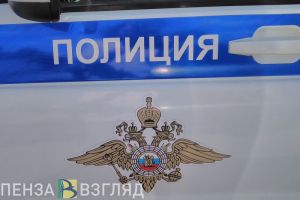 Пензенская полиция проводит проверочные мероприятия во дворце спорта «Олимпийский»