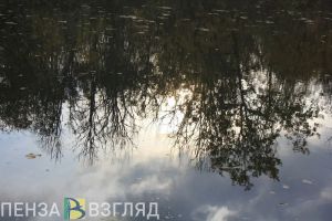 Стало известно, где нашли тело пропавшей 31-летней пензячки