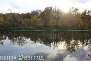 Появились фото с места обнаружения тела пропавшей 31-летней жительницы Пензы