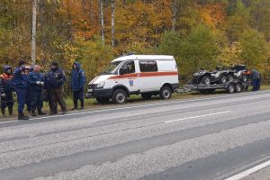 В Пензенской области несколько дней велись поиски пропавшего грибника