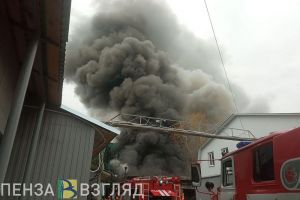 Появились фото с места большого пожара на улице Калинина в Пензе