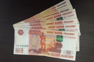 В Пензенской области зафиксирован рост коррупционных преступлений
