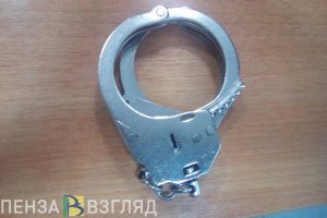 Появилось видео задержания Григория Кабельского