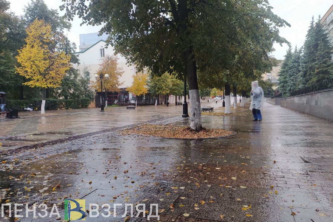 Прогноз осадков пенза. Дождь в Пензе. Осень последний день октября. Пыльный дождь в Пензе.