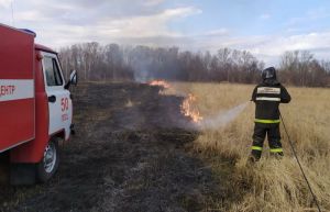 В поселке Ардымский сгорело более гектара сухой травы