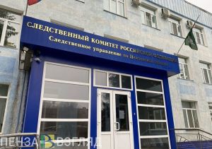 Пензенский подросток обвиняется в нескольких кражах и мошенничестве