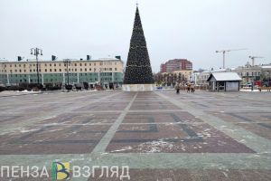 Стало известно, когда центр Пензы украсит новогодняя елка