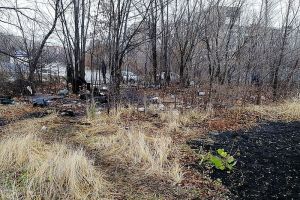 Опубликованы фотографии с Ладожской улицы в Пензе, где прохожая нашла убитого