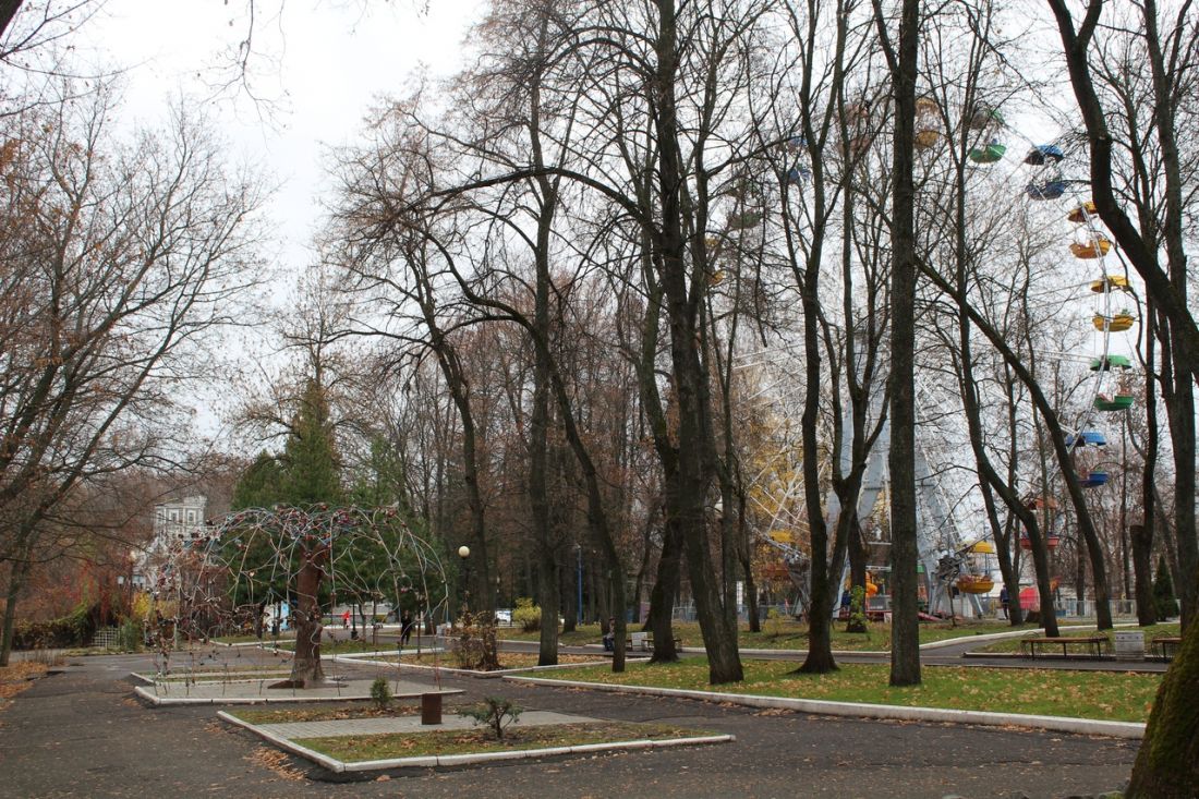 Московская область ноябрь. Парковый парк.