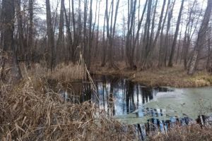 Появились новые фото с места гибели тракториста в Сердобском районе