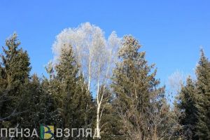 В Пензенской области заметно похолодает