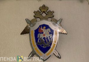 В Пензенской области выясняют обстоятельства гибели мужчины в ночном пожаре