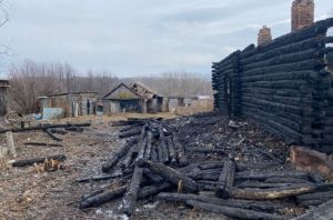 Пензенский Следком установит причину смертельного пожара в Каменке