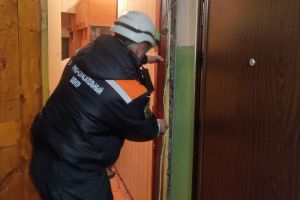 За выходные спасатели пять раз помогли пензенцам