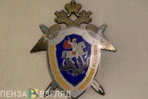 Пензенцев просят помочь в поисках без вести пропавшего подростка