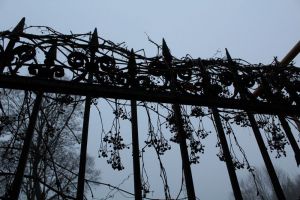 Для вора из Пензенской области забор не стал преградой: он его украл