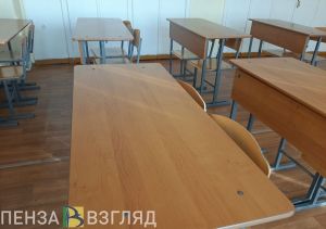Чащина рассказала депутатам об увольнении директоров двух пензенских школ