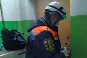 Спасатели пришли на помощь упавшей и запертой в квартире пензячке