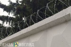 Подобравший чужой кошелек пензенец может лишиться свободы