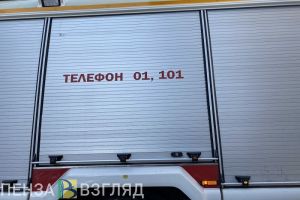 В Пензе при пожаре спасены двое детей и взрослый