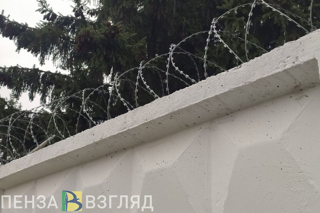 В Пензе у пассажира остановленной сотрудниками ГИБДД машины нашли наркотик