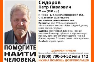 В Пензенской области разыскивают дезориентированного пенсионера