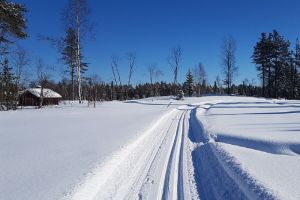 Длина лыжных трасс в Пензенской области составит 739 километров
