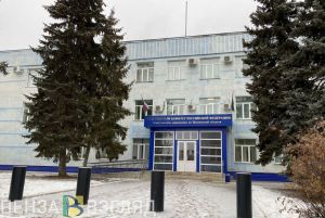 Появилось видео с задержанной чиновницей, пытавшейся дать взятку вице-губернатору Пензенской области