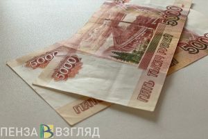 Поверившая незнакомцу жительница Пензы осталась без денег