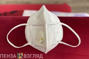 Жителю Пензенской области назначили административное наказание за шоппинг без маски