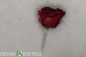 Елена Столярова рассказала о трех смертях подростков