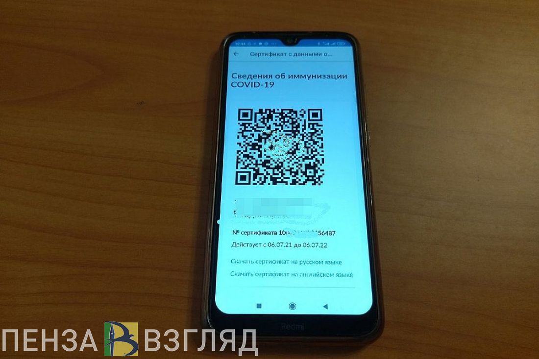 Пензенский Роспотребнадзор прокомментировал требование о QR-кодах на  утренниках в детских садах