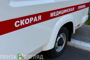 В Пензенской области увезли в больницу водителя легковушки, столкнувшейся с грузовиком