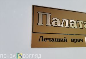 В Пензе выявили 113 ковид-больных за сутки