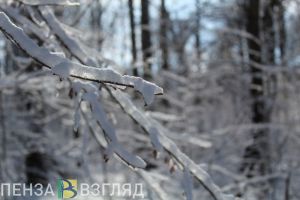 Пензенцев предупреждают о снегопаде