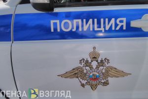 Трое жителей Кузнецка обокрали дачный участок местной жительницы
