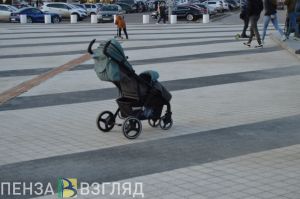 Жительница Пензы осталась без денег при продаже коляски