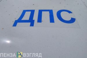 В Пензе разыскивают свидетелей аварии на улице Терновского