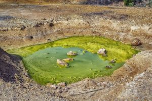 Сельхозкооператив в Пензенской области оштрафовали за слив отходов на почву