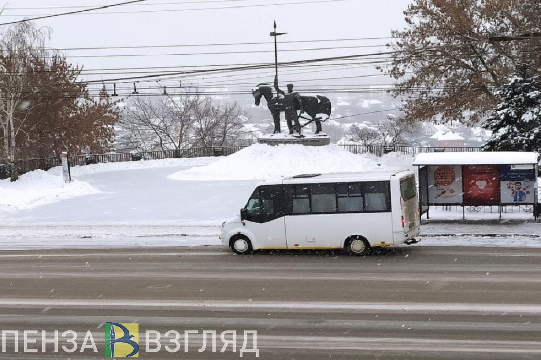 Светкин возглавил ГКУ «Организатор перевозок Пензенской области»