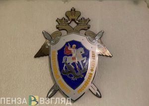 Бастрыкин поставил на контроль расследование дела о покушении на убийство мальчика в Пензе