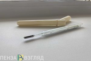 В Пензенской области несколько школ полностью закрыты на карантин из-за ковида
