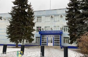 В Пензенской области группа молодежи совершала нападения на приезжих