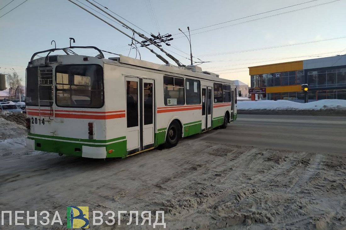 Статистика подтвердила популярность электротранспорта среди пензенцев