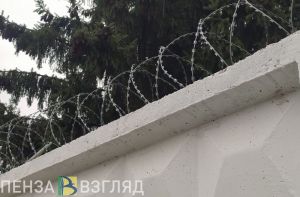 Пензенцу грозит до 10 лет тюрьмы за хранение марихуаны