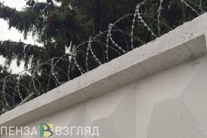 Житель Каменки может сесть в тюрьму за сбор запрещенного растения
