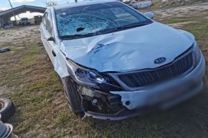 В Пензенской области направлено в суд дело о ДТП, в котором погибла девушка-подросток